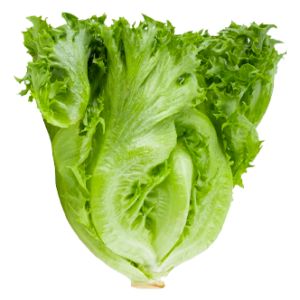 Lettuce