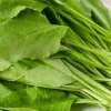 Palak